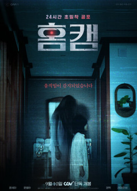 Домашняя камера